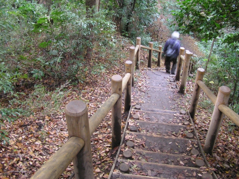 f:id:garadanikki:20141204102005j:plain f:id:garadanikki:20141204102005j:plain