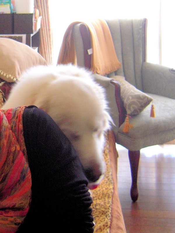 f:id:garadanikki:20141222104144j:plain