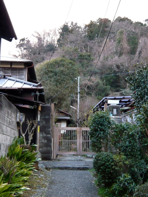 f:id:garadanikki:20150121160305j:plain