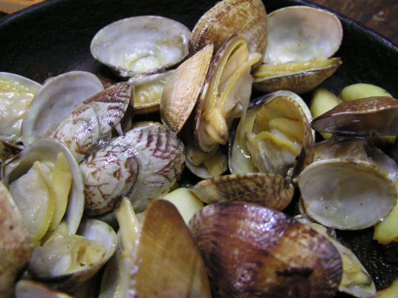 f:id:garadanikki:20150310104325j:plain