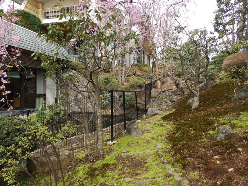 f:id:garadanikki:20150327124652j:plain
