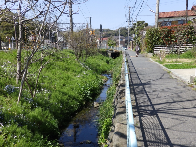 f:id:garadanikki:20150404141402j:plain