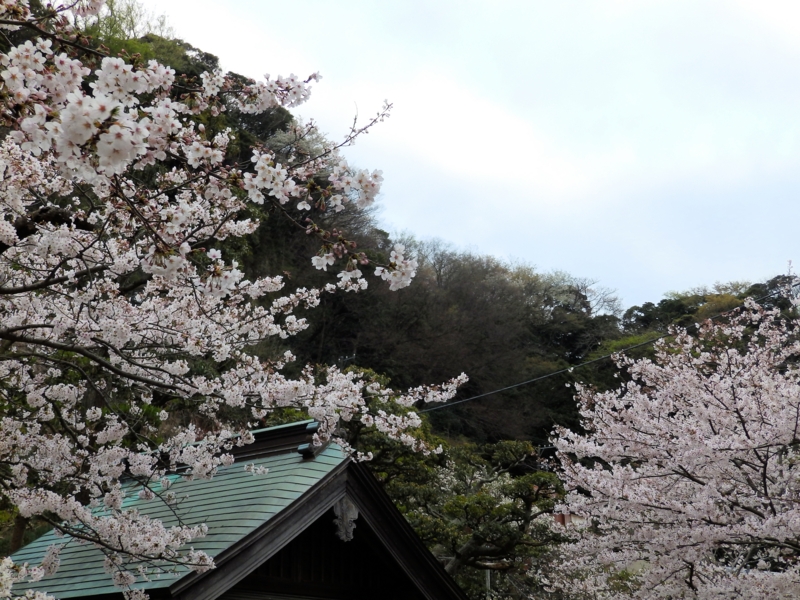 f:id:garadanikki:20150405232244j:plain