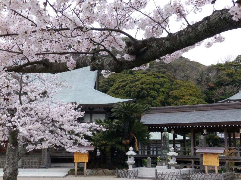 f:id:garadanikki:20150405232248j:plain