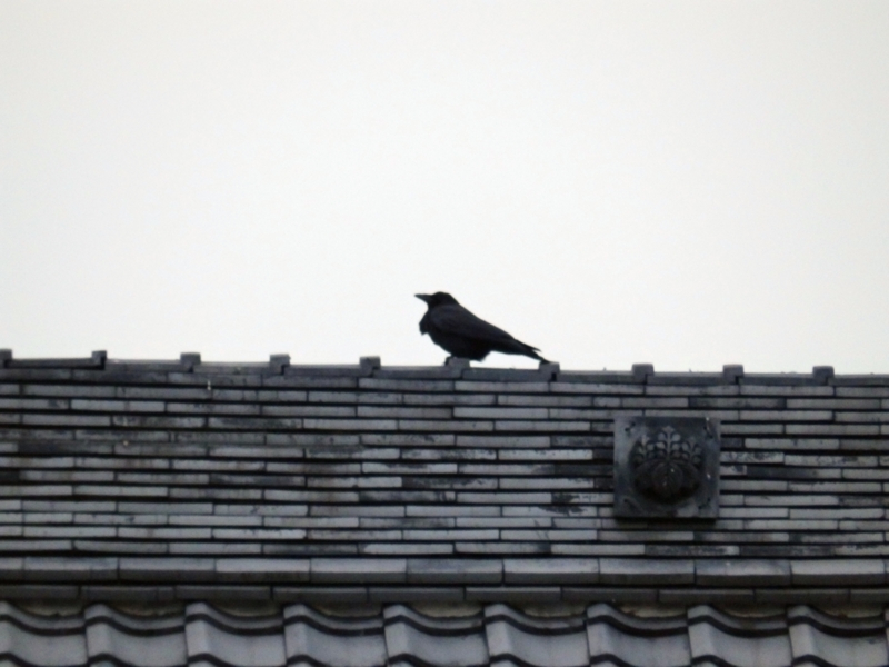 f:id:garadanikki:20150405232252j:plain