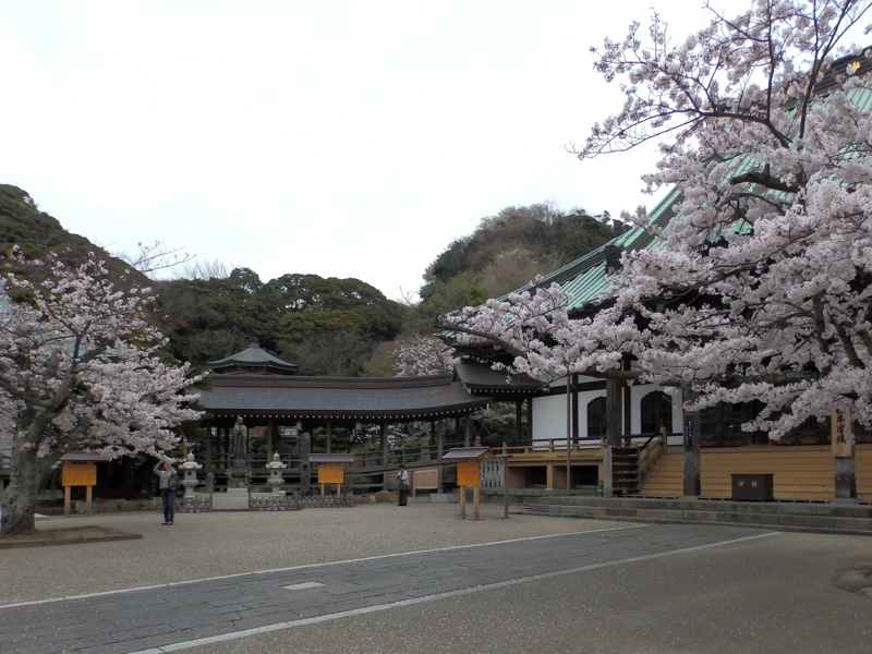 f:id:garadanikki:20150405232253j:plain