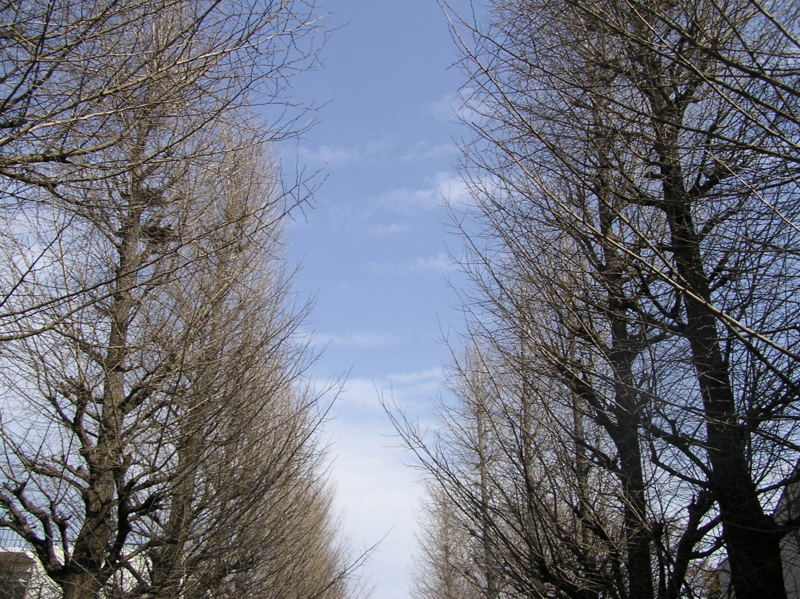 f:id:garadanikki:20150407105557j:plain