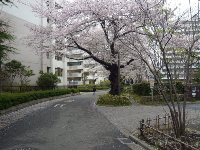 f:id:garadanikki:20150408132739j:plain