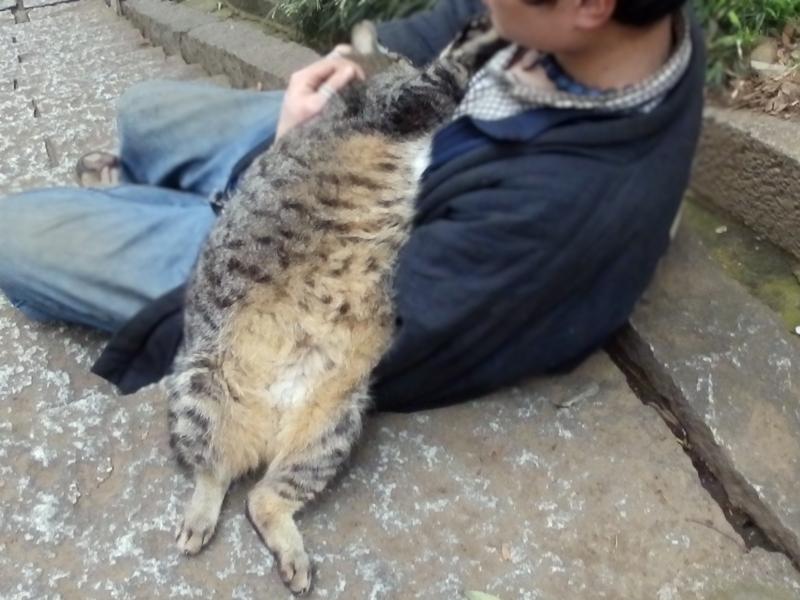 クリックすると大きくなります f:id:garadanikki:20150409101540j:plain