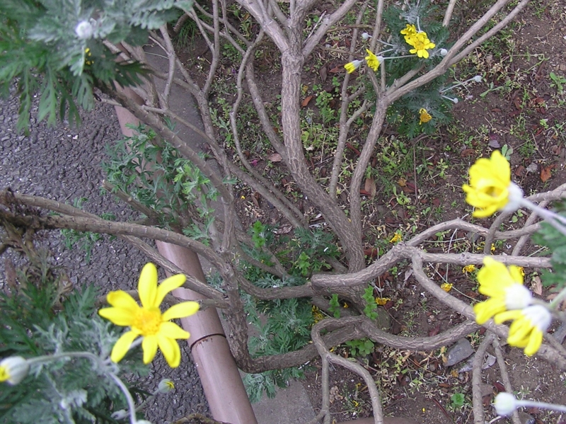 クリックすると大きくなります f:id:garadanikki:20150423101554j:plain