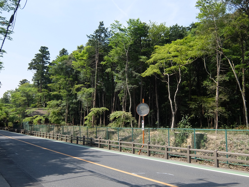 f:id:garadanikki:20150428102310j:plain
