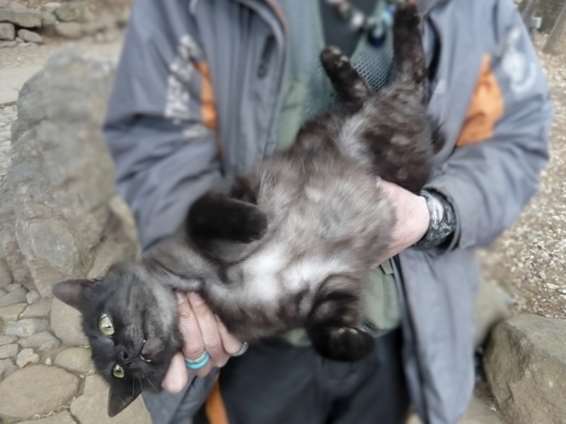 f:id:garadanikki:20150522162937j:plain