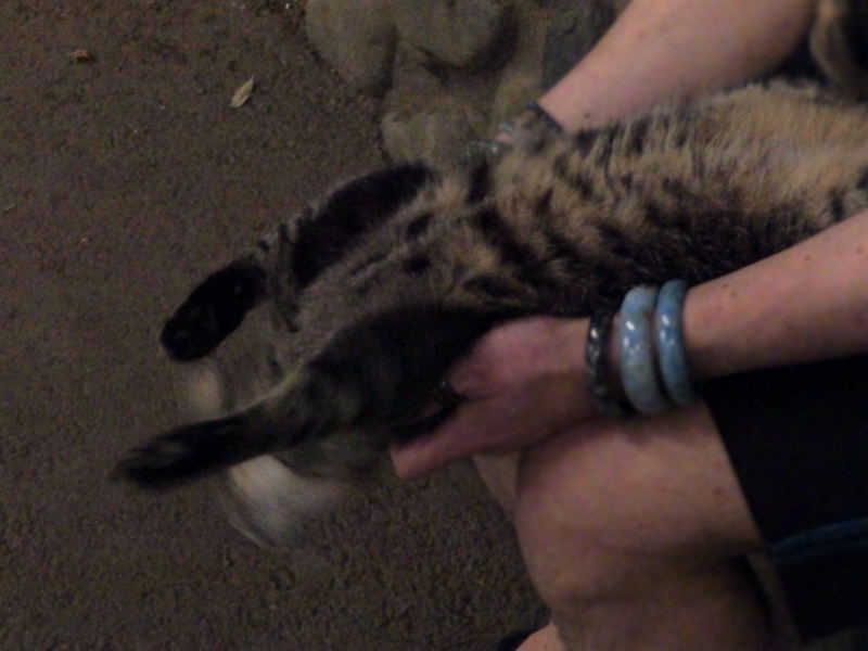 f:id:garadanikki:20150607000515j:plain f:id:garadanikki:20150607000515j:plain