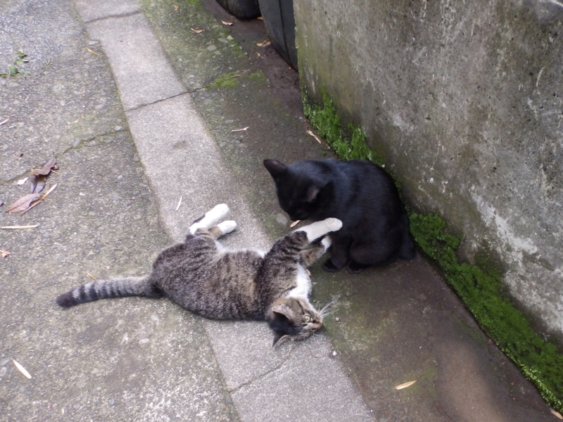 f:id:garadanikki:20150627224854j:plain