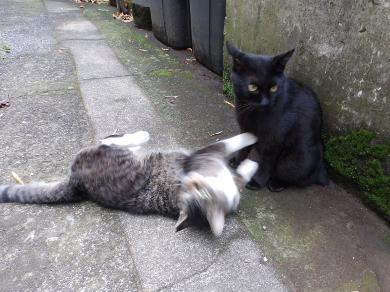 f:id:garadanikki:20150627224855j:plain