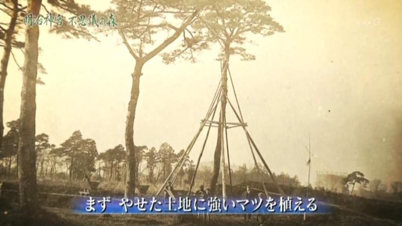 f:id:garadanikki:20150715132052j:plain