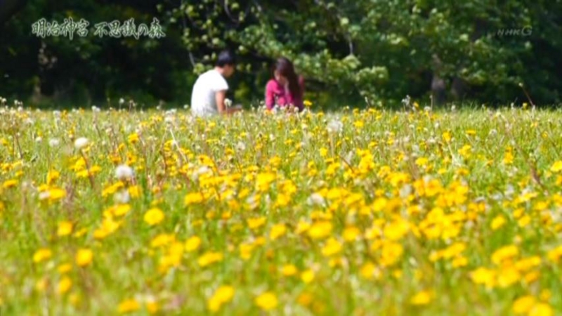f:id:garadanikki:20150715132108j:plain