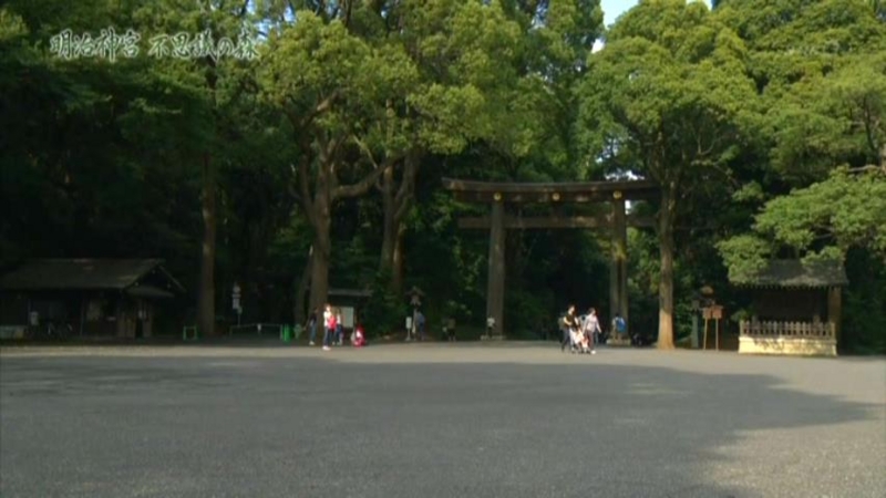 f:id:garadanikki:20150715132232j:plain