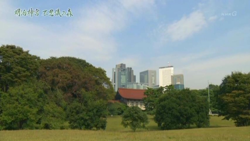 f:id:garadanikki:20150715132236j:plain
