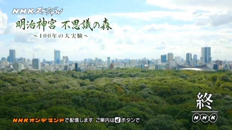 f:id:garadanikki:20150715132255j:plain