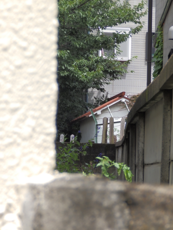 f:id:garadanikki:20150725124344j:plain