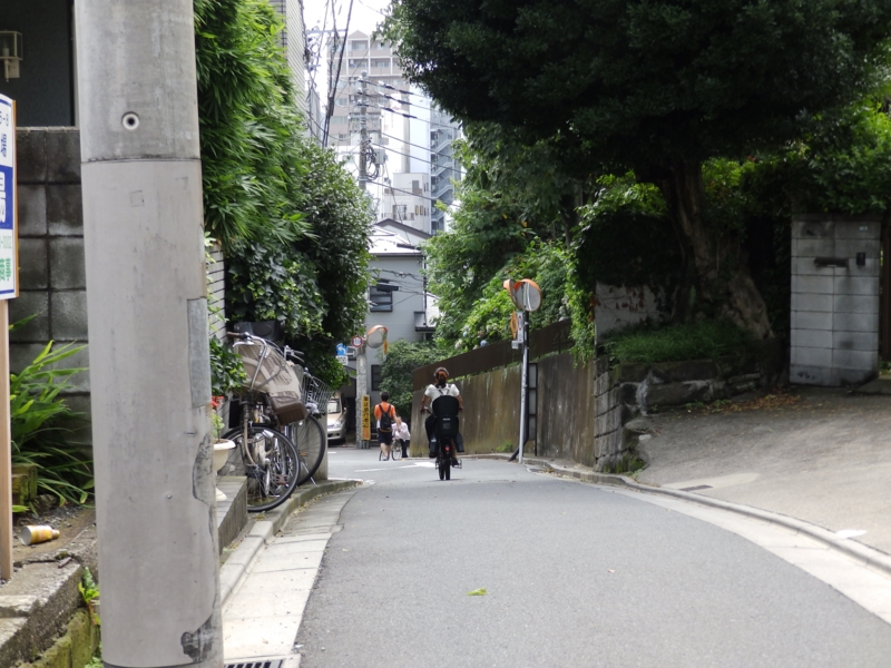 f:id:garadanikki:20150725124419j:plain