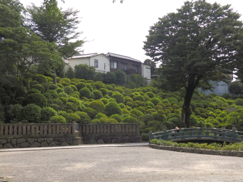 f:id:garadanikki:20150726121402j:plain