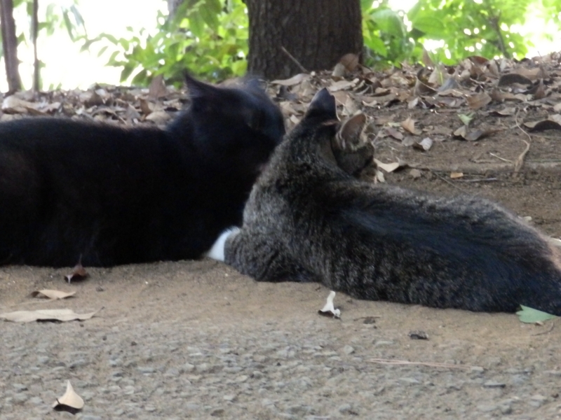 f:id:garadanikki:20150801125021j:plain