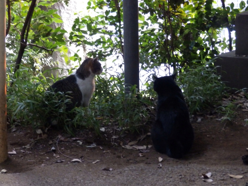 f:id:garadanikki:20150801125037j:plain