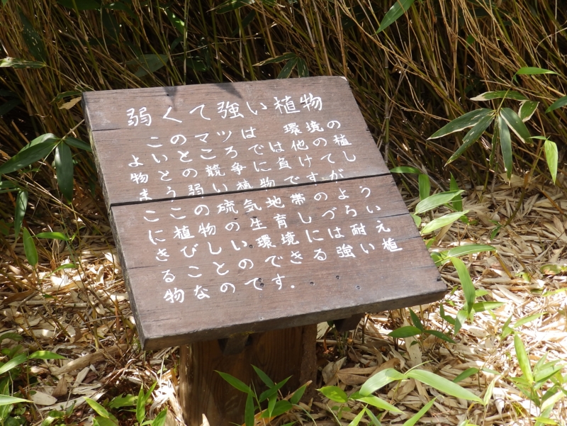 f:id:garadanikki:20150821104924j:plain