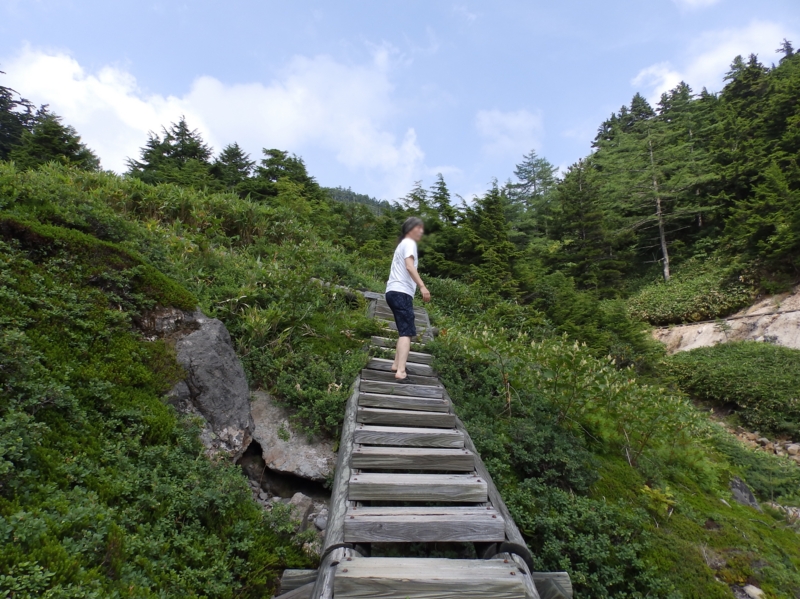 f:id:garadanikki:20150821104931j:plain