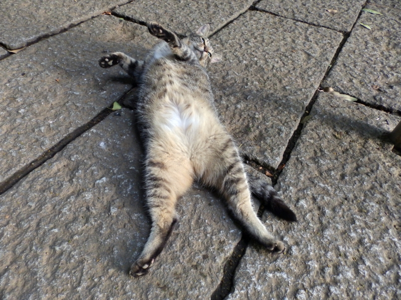 f:id:garadanikki:20150824092024j:plain