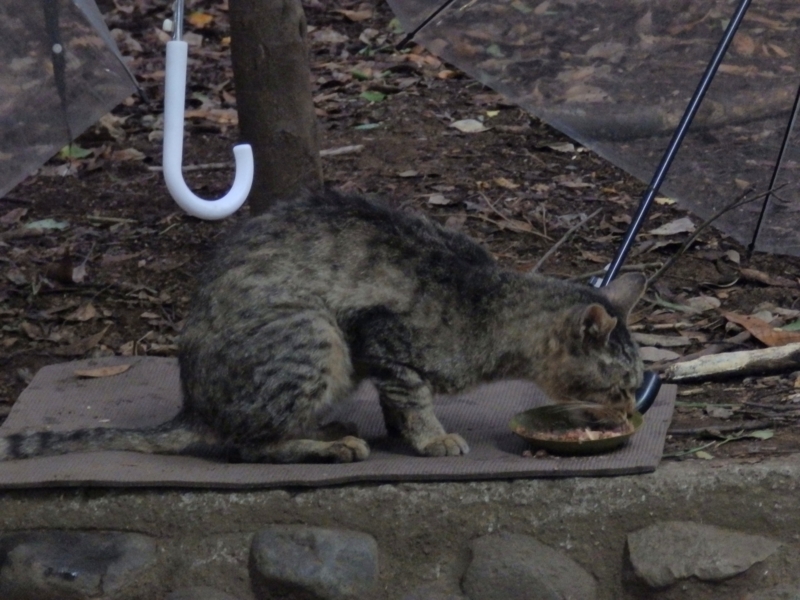 f:id:garadanikki:20151002094351j:plain