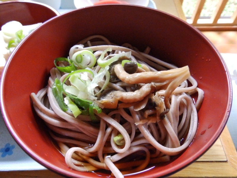 f:id:garadanikki:20151011101847j:plain