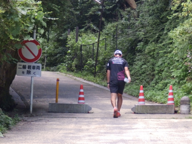 クリックすると大きくなります f:id:garadanikki:20151016000231j:plain