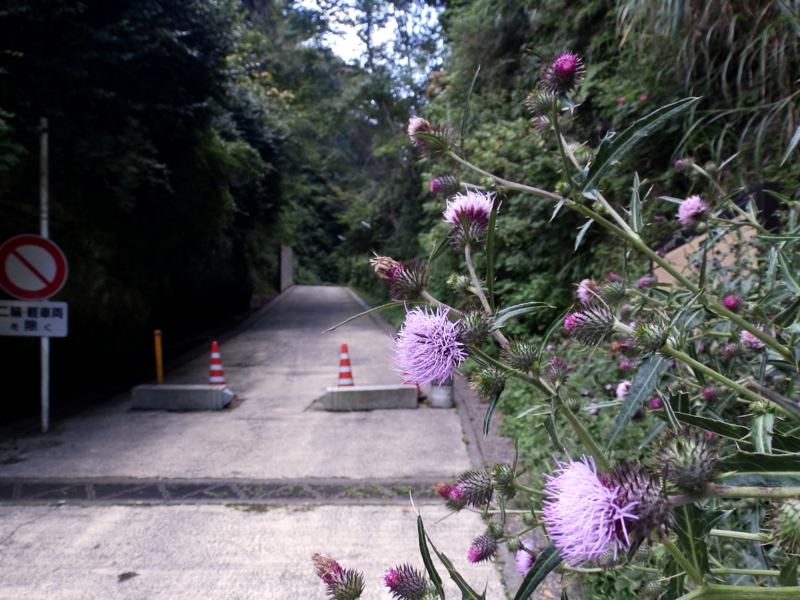 クリックすると大きくなります f:id:garadanikki:20151016000233j:plain