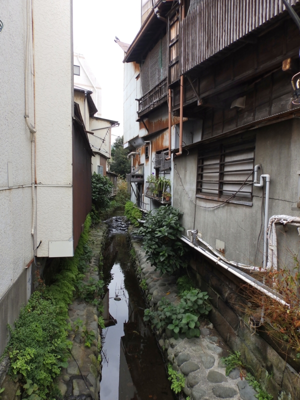 f:id:garadanikki:20151024144934j:plain