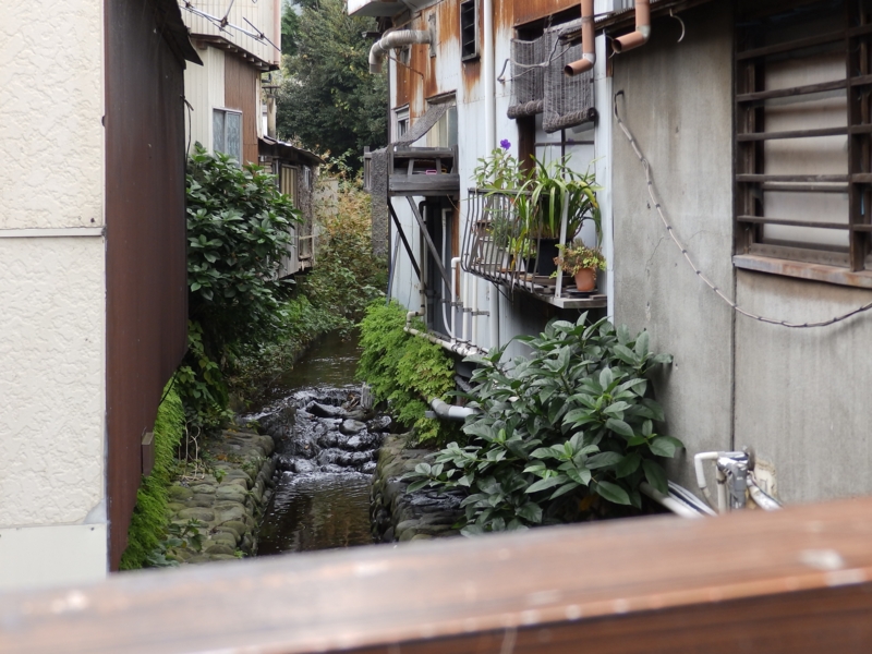 f:id:garadanikki:20151024144935j:plain