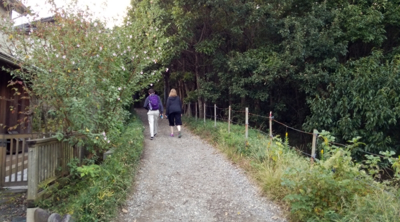 f:id:garadanikki:20151026102512j:plain