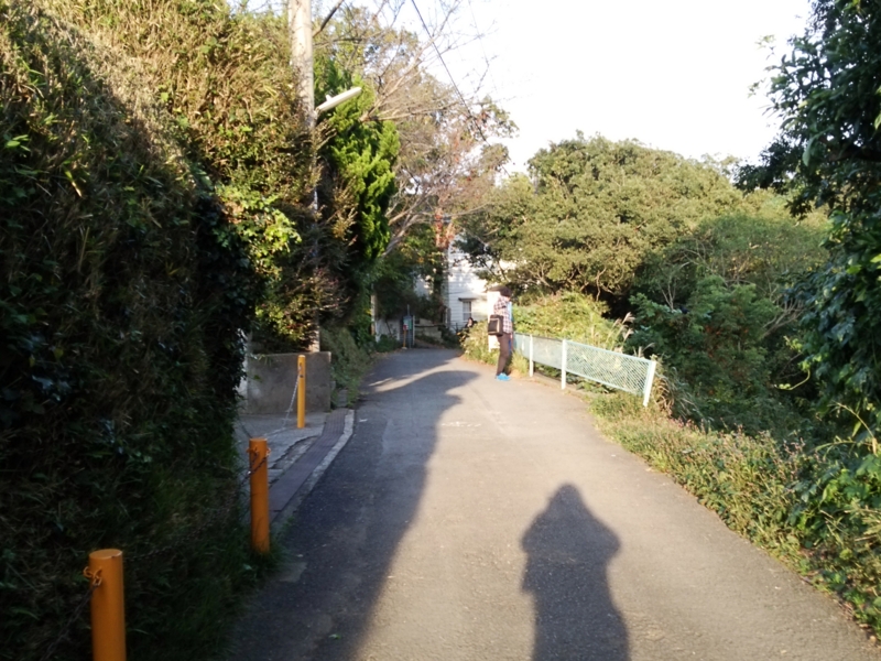 f:id:garadanikki:20151026102515j:plain