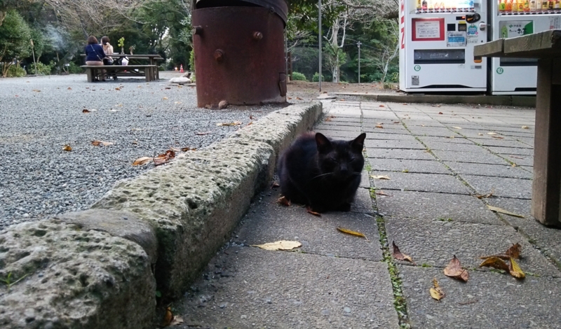 f:id:garadanikki:20151026102523j:plain