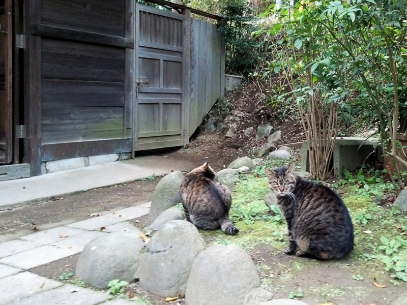 f:id:garadanikki:20151026102533j:plain