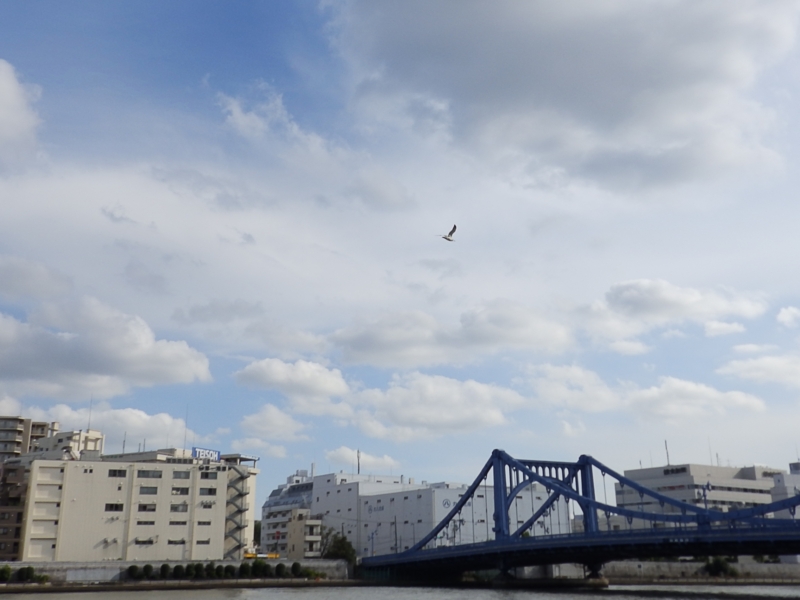 f:id:garadanikki:20151031134044j:plain