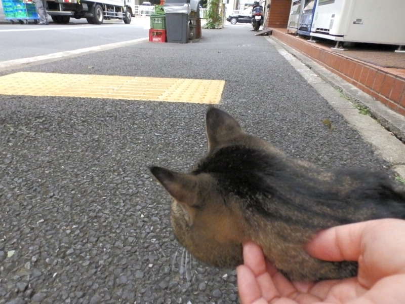 クリックすると大きくなります f:id:garadanikki:20151102093416j:plain