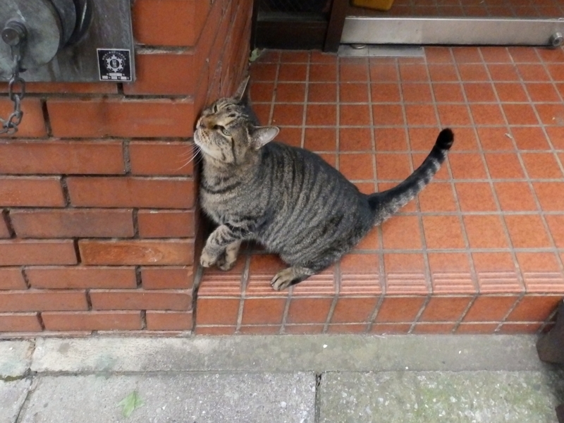 クリックすると大きくなります f:id:garadanikki:20151102093417j:plain