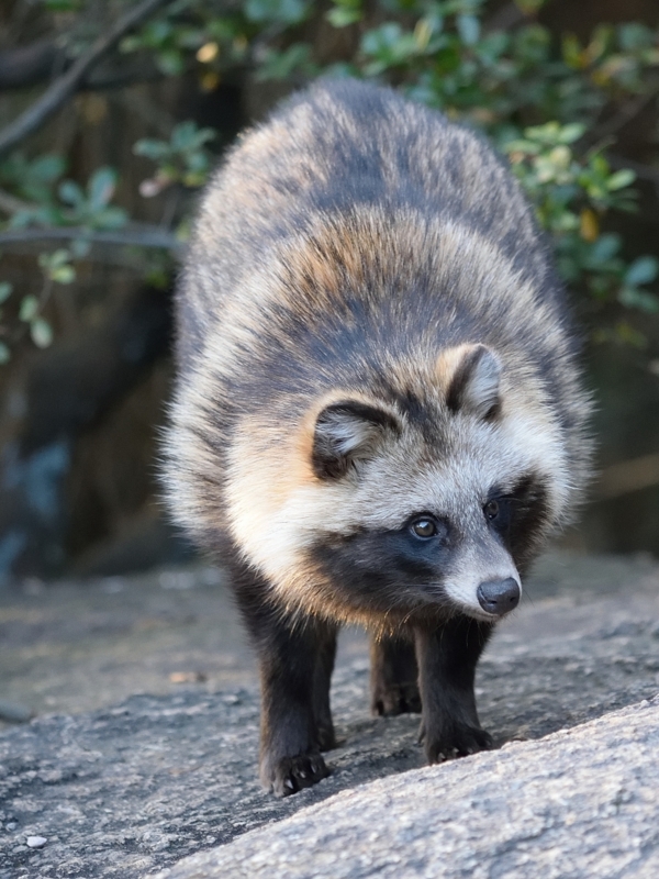 f:id:garadanikki:20160112095045j:plain