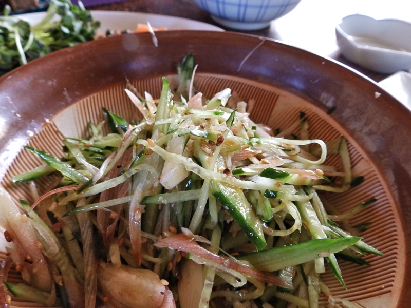 f:id:garadanikki:20160214204620j:plain