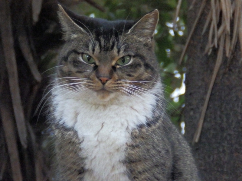 f:id:garadanikki:20160318102944j:plain