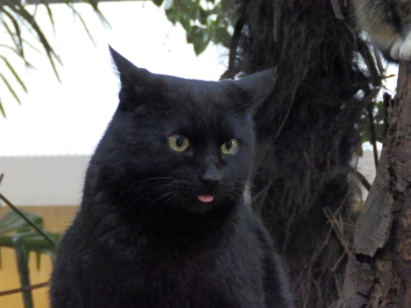 f:id:garadanikki:20160318102945j:plain