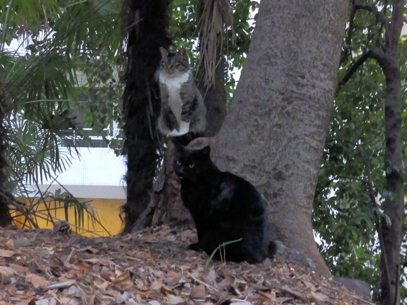 f:id:garadanikki:20160318102946j:plain